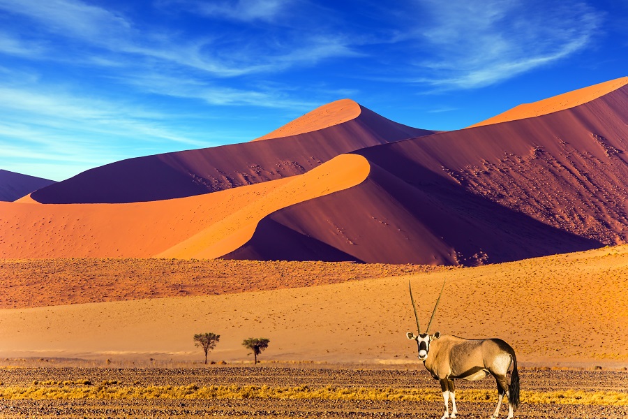  Самая древняя пустыня Намиб