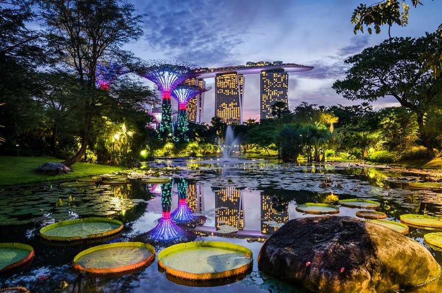 Сады у Залива — природный парк в Сингапуре