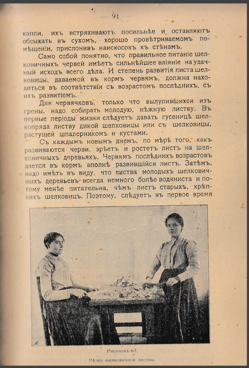 Как воспитать здорового довольного червя: разбираем инструкцию 1910 года