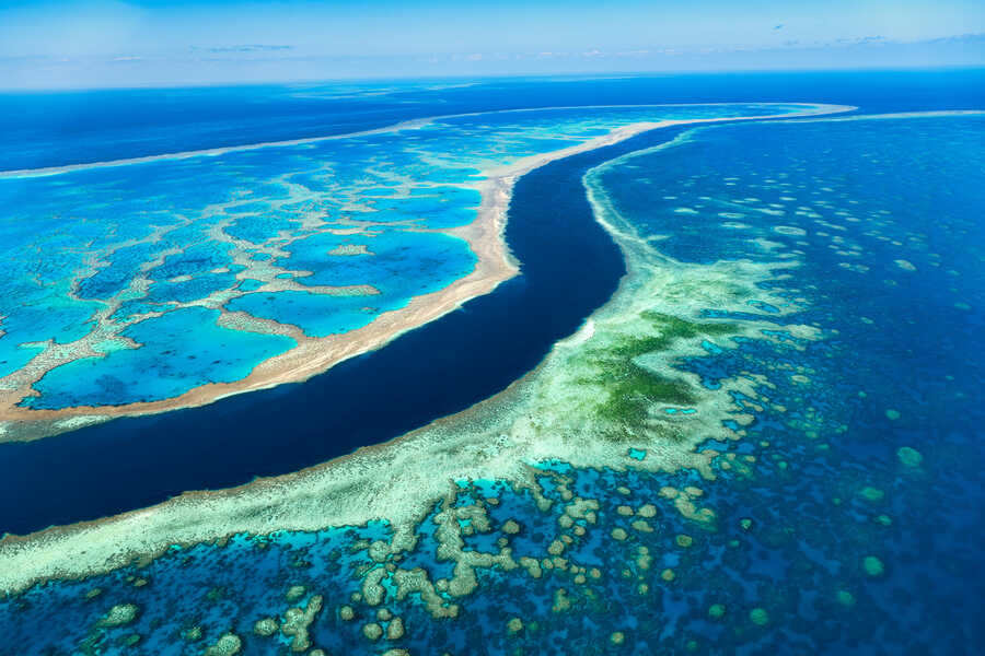 Барьерный риф в австралии фото