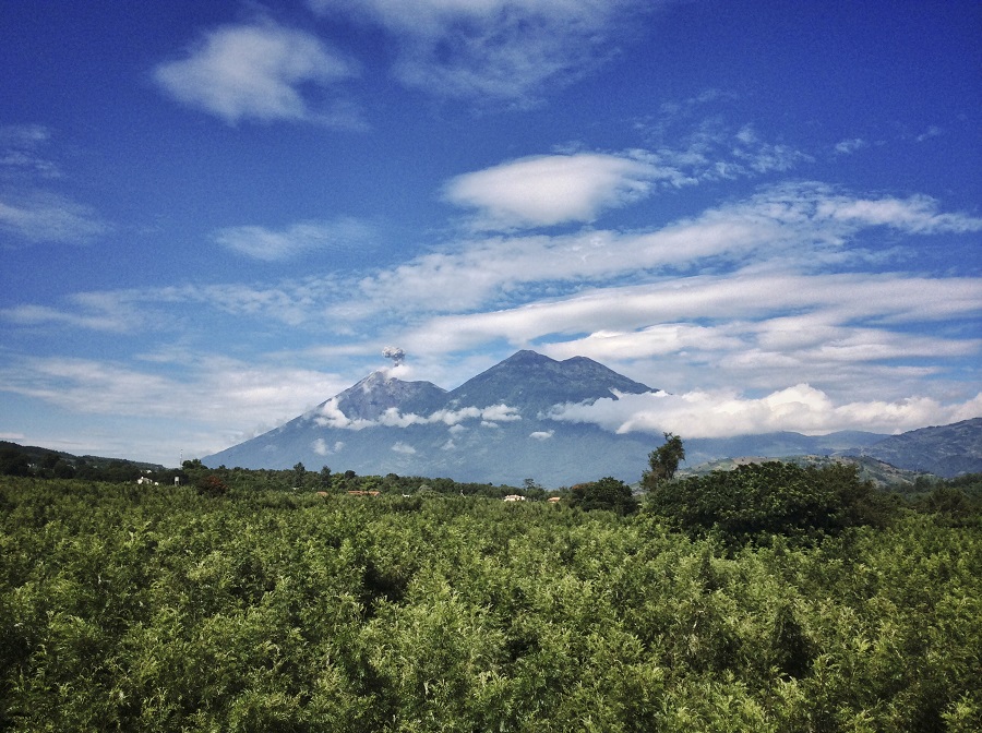 Кофейные плантации и вулканы Гватемалы