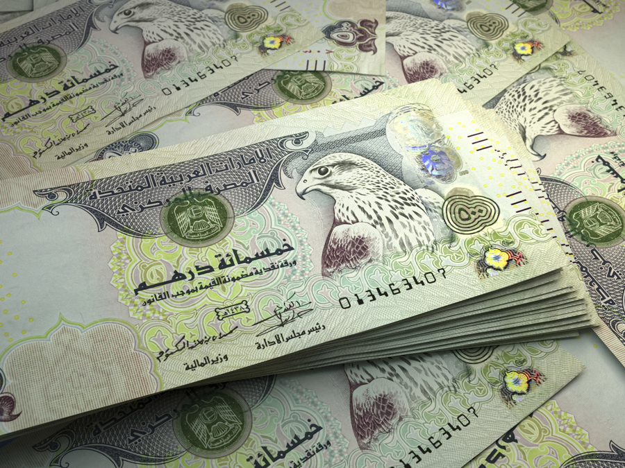 Официальная валюта в Дубае — дирхам ОАЭ. Фото: Istockphoto/Maksym Kapliuk 