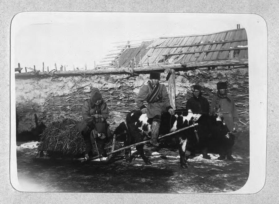 Сцена сельской жизни, окрестности Якутска, 1890 год. Фото: Library of congress