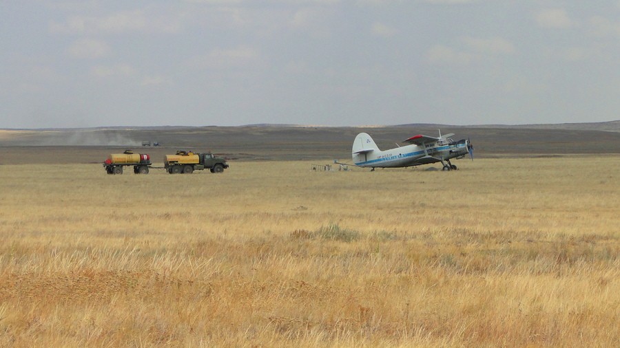  «Вечный самолёт» Ан-2 в поле, 2014 год. Фото: wikimedia/Маргарита Москалюк