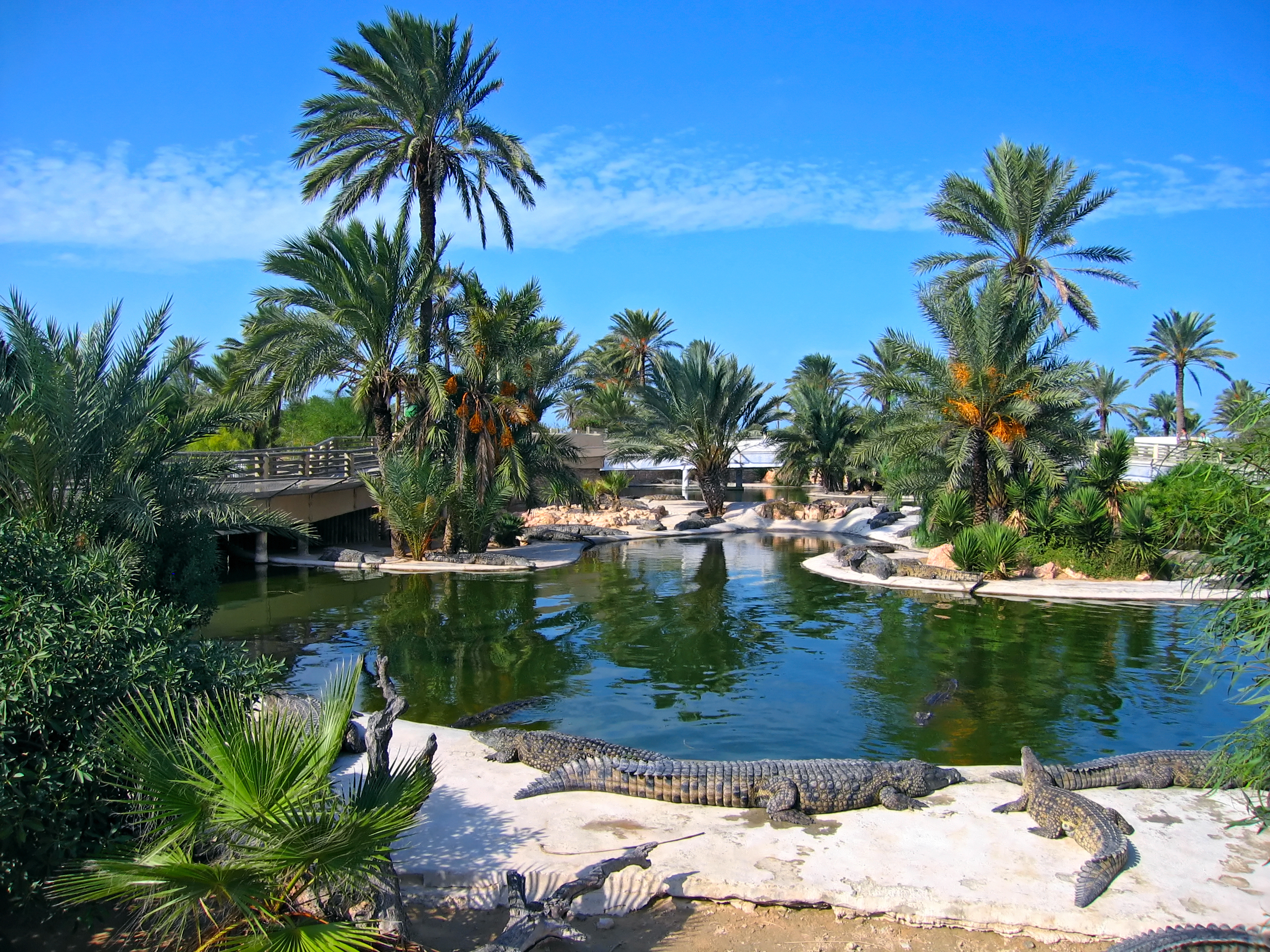 Djerba Explore Park, Джерба, Тунис. 