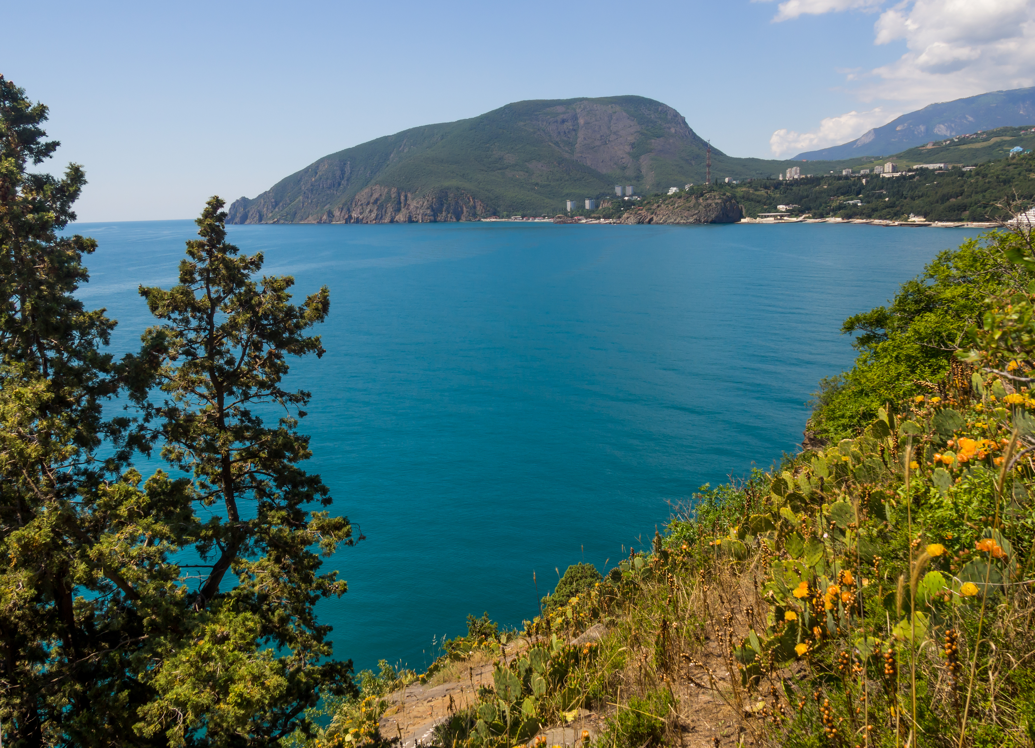 Вид на гору Аю-Даг с мыса Плака, Большая Алушты, Крым