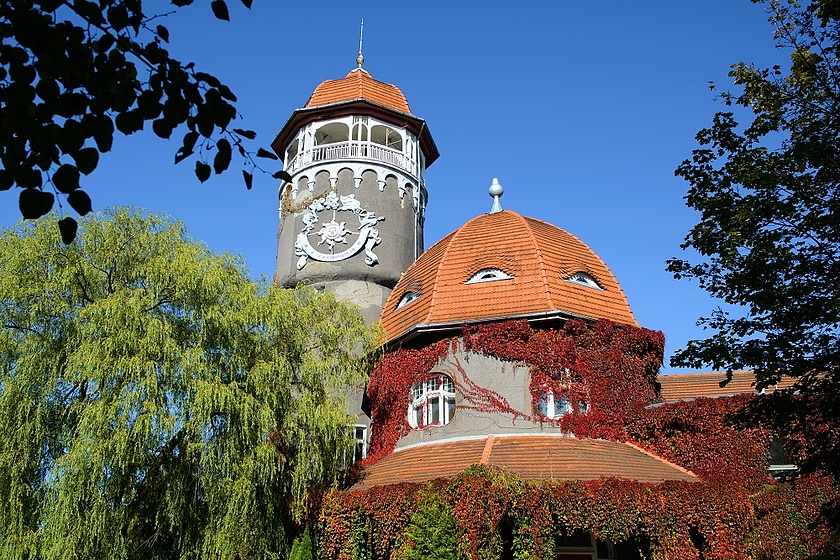 Туры в Светлогорск с авиаперелетом из Москвы в 2020—2021