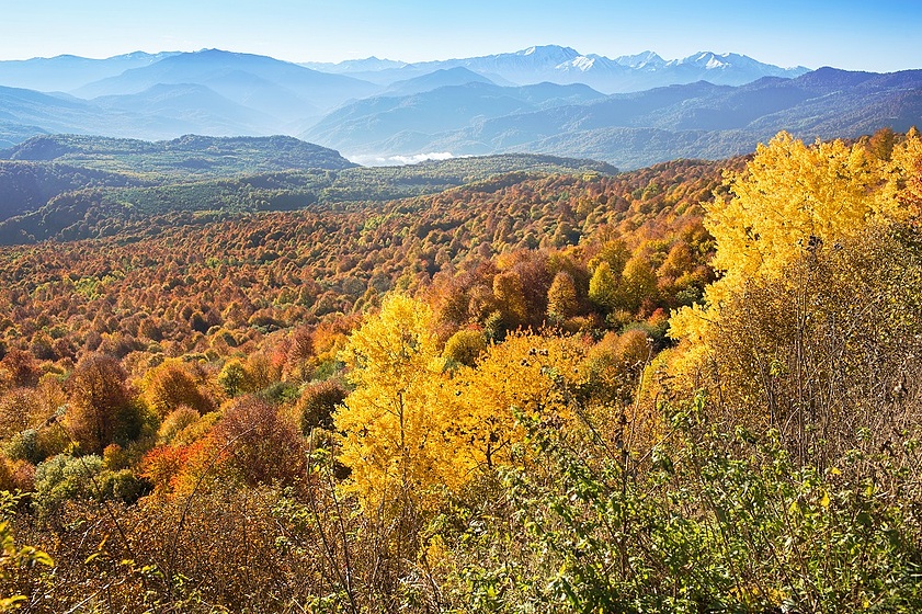 Лаго наки на машине