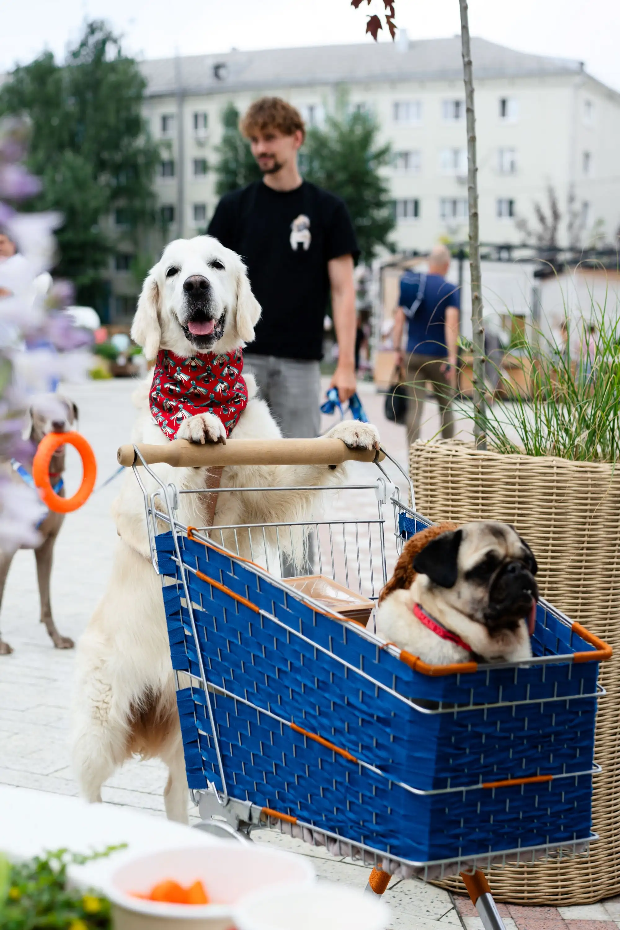 Казань