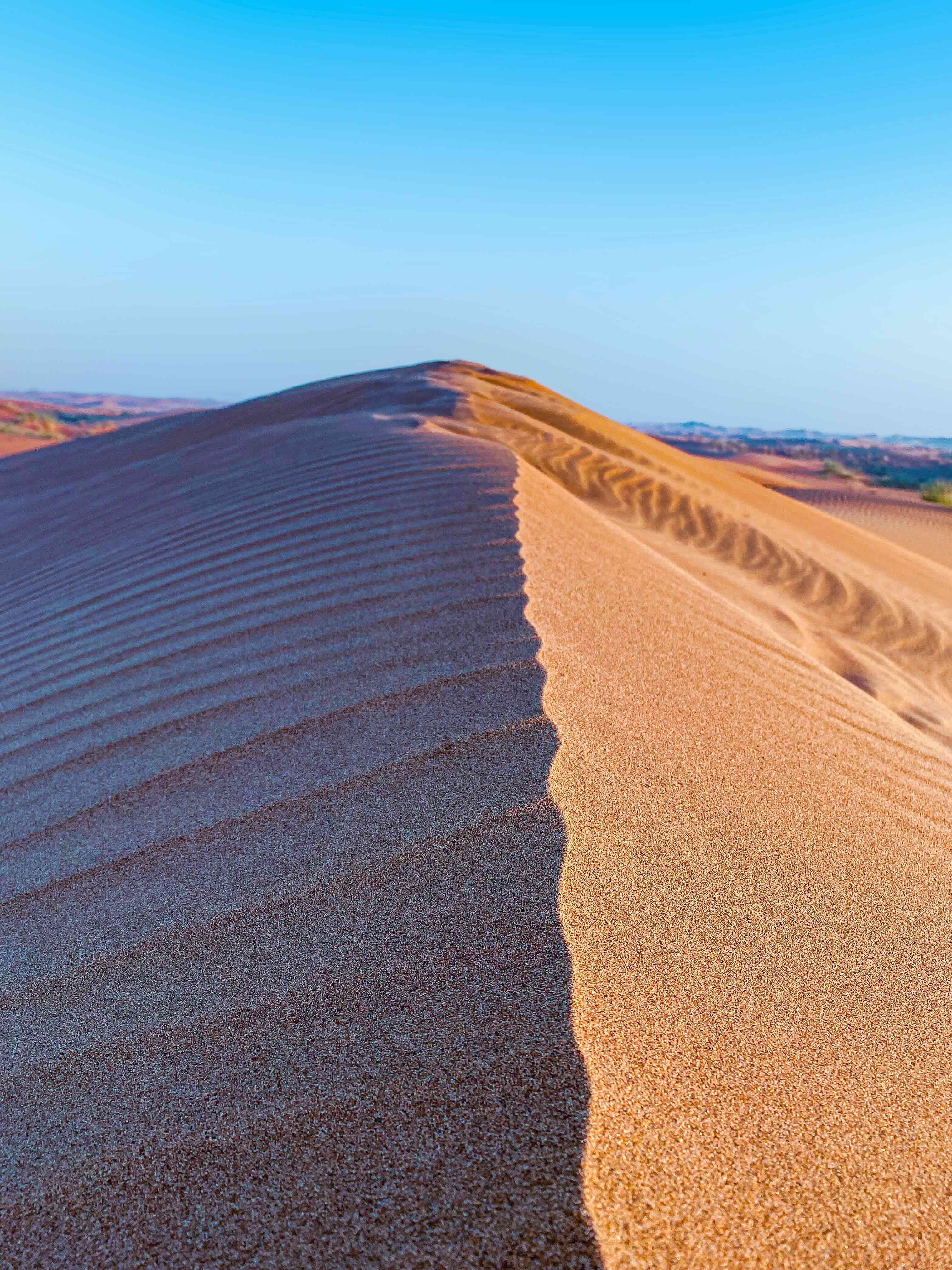 Бархан Сарыкум