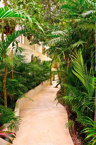 Villa Clarita — фото 3