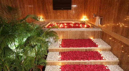 Jaypee Palace — фото 3