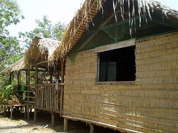 Jungle Hostel — фото 2