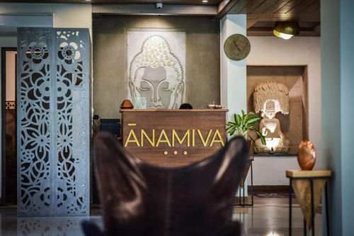 Anamiva — фото 2