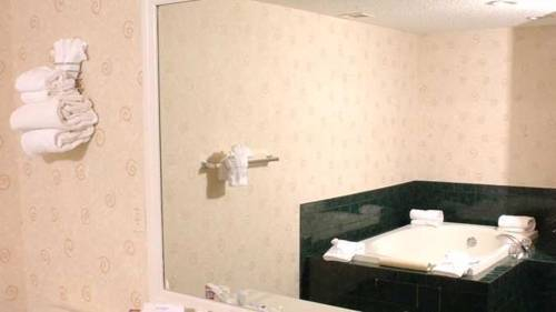 Doubletree Hotel Bloomington — фото 5