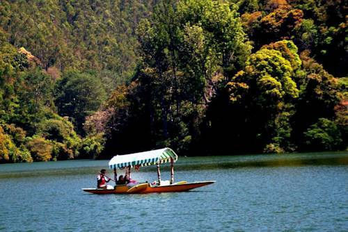 Munnar Dreams — фото 2