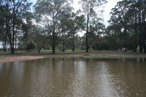 Lovedale Balloon Cottage — фото 3