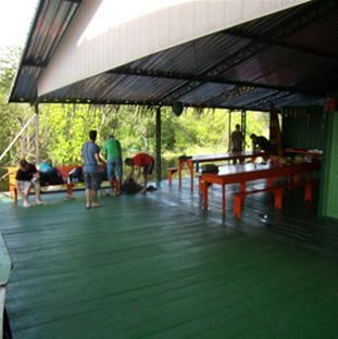 Jungle Hostel — фото 4