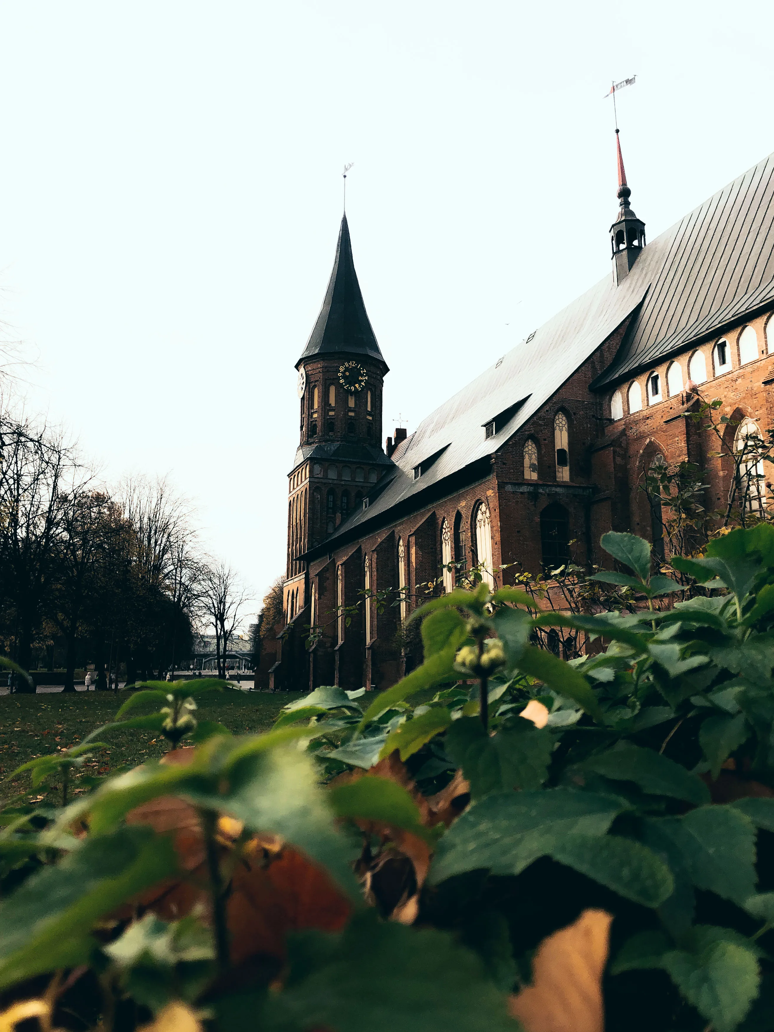 Кафедральный собор