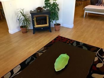 Painted Turtle Guesthouse — фото 3