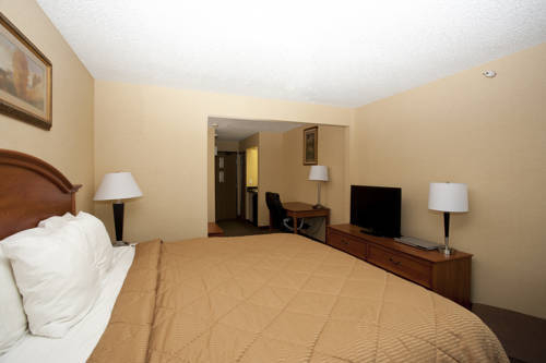 Comfort Inn & Suites — фото 3