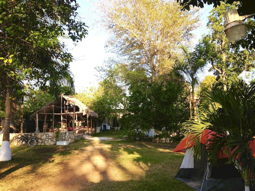 Hostal & Camping Yaxche Centro — фото 3
