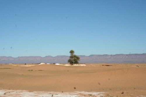 Zagora Desert Camp — фото 3