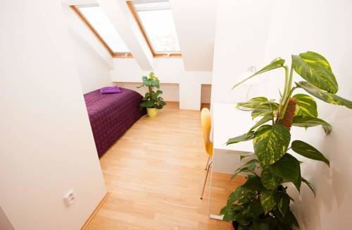 Kozi Loft — фото 4