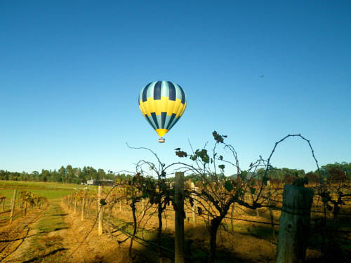 Lovedale Balloon Cottage — фото 4