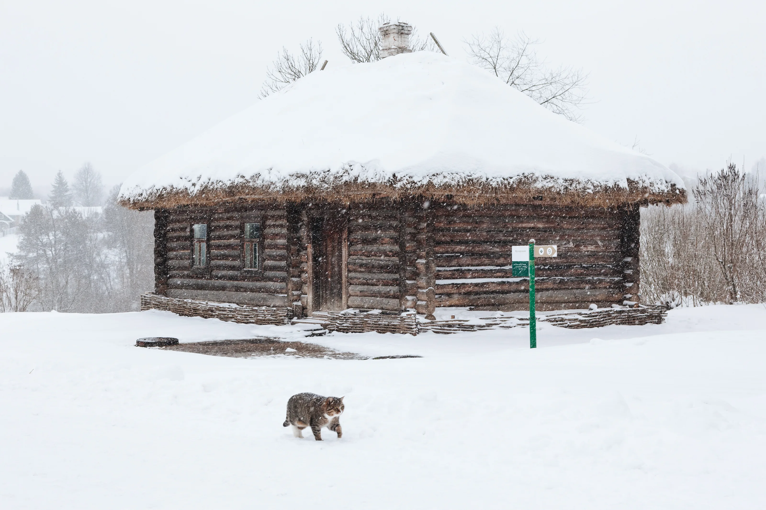 Ясная поляна