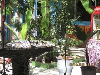 Riad Carol — фото 3