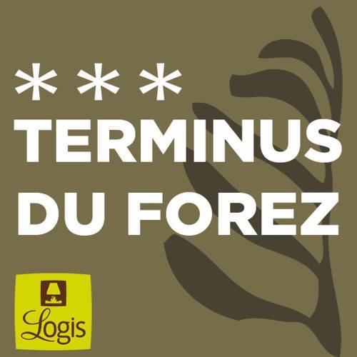 TERMINUS DE FOREZ — фото 2