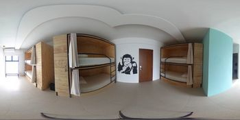 Mayan Monkey Hostel — фото 2