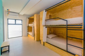 Mayan Monkey Hostel — фото 4