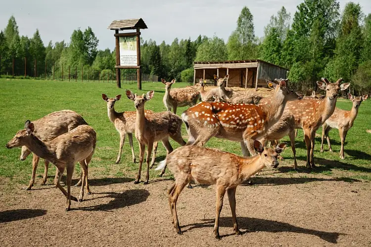 Валдайские просторы