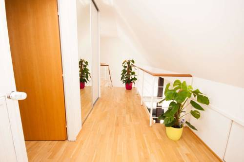 Kozi Loft — фото 2
