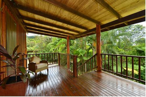 Tea Tree Cottage — фото 4