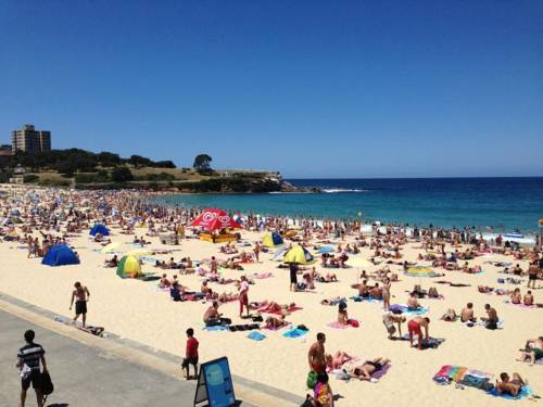 Dive Hotel Coogee Beach — фото 4