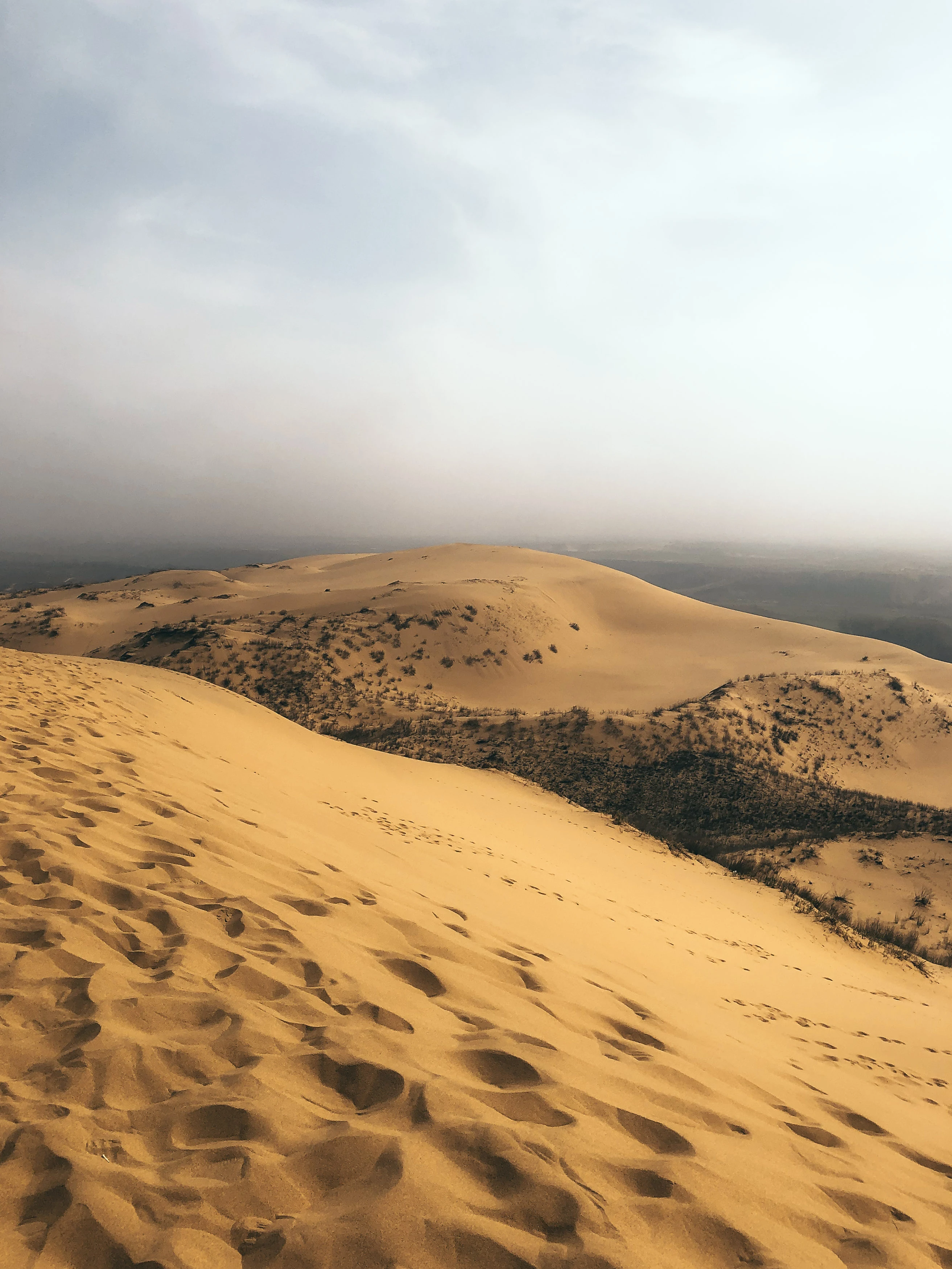 Бархан Сарыкум