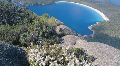 Freycinet Lodge — фото 2