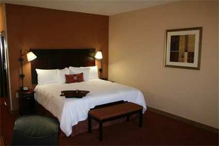 Hampton Inn & Suites Buda — фото 4