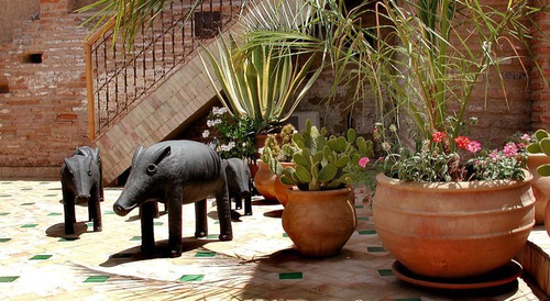 Riad Aladdin — фото 2