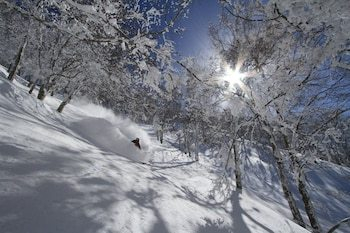 Hakuba Powder Lodging — фото 5
