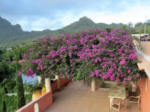 Villa Rea Hanaa — фото 5