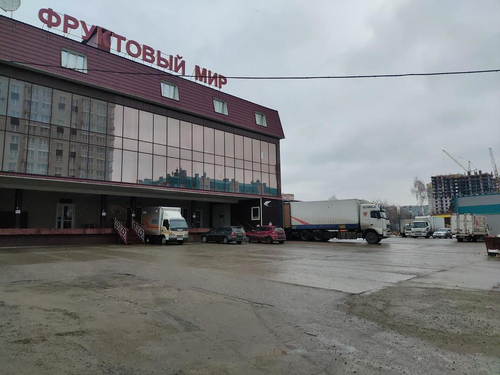 Фруктовый мир — фото 3