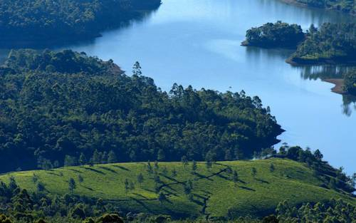 Munnar Dreams — фото 3