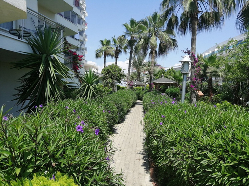 Asrin Beach Hotel — фото 2