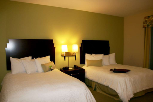 Hampton Inn Alpine — фото 2