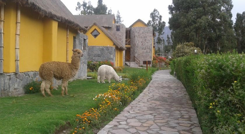 Eco Inn Colca — фото 4