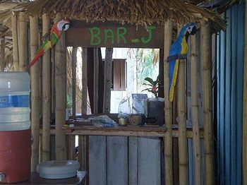 Jungle Hostel — фото 3